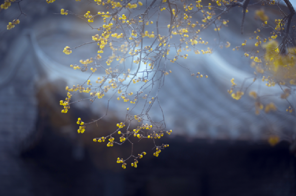 0d670bcbf480046a863d00ee7acb01d.png