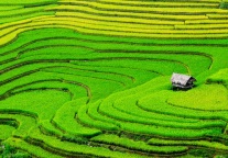  湖南：加快把全省旅游业打造成万亿产业