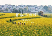 不错过春天：赏春新风尚  住都市118•精选酒店更安心、放心