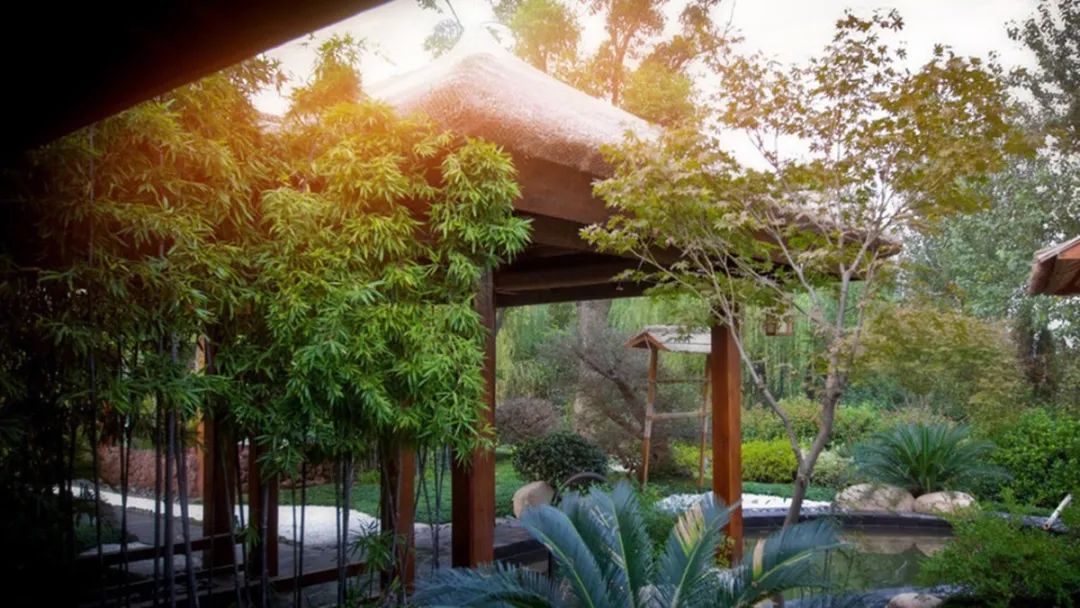 常州恐龙园.jpg 图片