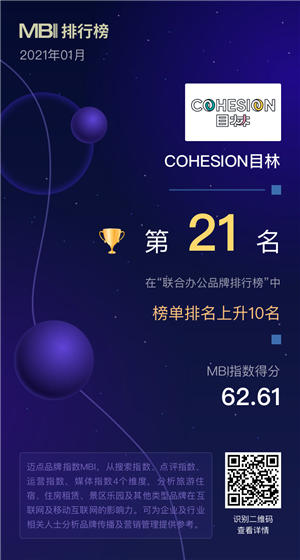 cohesion 目林.png