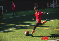 麦斐体育课程预售排队，目标3年10万学员