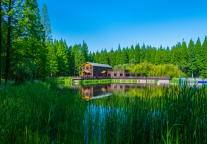 康养旅游新选择 黄海森林公园引入欢墅高端民宿配套