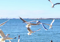 住昆明格雅酒店，体验时尚个性！