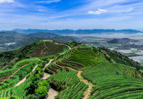 格林豪泰福建福州仓山区金山大道智选酒店，游玩山水榕城