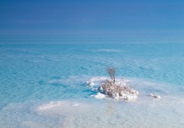 凯悦酒店的安达仕品牌在印尼首次亮相｜迈点译讯