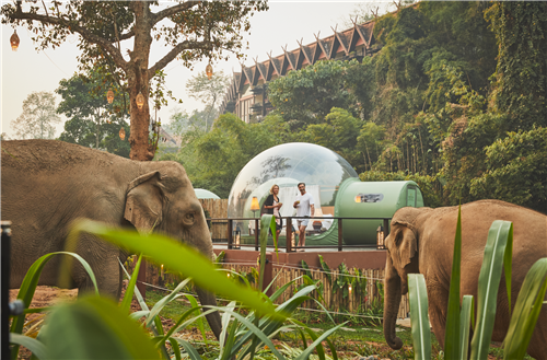 Anantara_Golden_Triangle_Elephant_Camp_And_Resort_Guest_Room_Jungle_Bubbles_Terrace_Couple_Elephants.png
