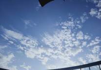 中国中免：拟在港交所上市