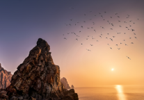 格林豪泰鞍山市大屯镇温泉智选酒店，安全舒适的住宿之选