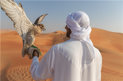 Qasr_Al_Sarab_Desert_Resort_By_Anantara_Recreation_Facility_Activities_Falcon_Show_Falconer.png Qasr_Al_Sarab_Desert_Resort_By_Anantara_Recreation_Facility_Activities_Falcon_Show_Falconer.png