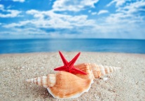 马尔代夫准备启动疫苗接种假期计划｜迈点译讯