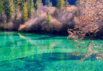 宿四川成都武侯区簇桥地铁站格盟酒店，花簇锦官城