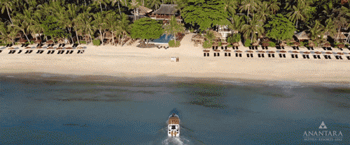 美诺目的地动图.gif