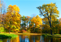  2020中国文旅地产发展报告(上)