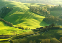 宜兴山南，野奢之境