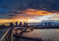 青皮树晋城高平市财富大厦酒店，旅途停歇的绿洲