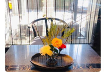 感受春日最后一缕花香，让心灵与自然融合