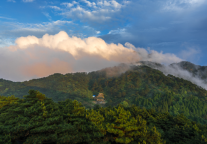 来格林豪泰上饶市余干县南昌大道行政服务中心智选酒店，游梦里水乡