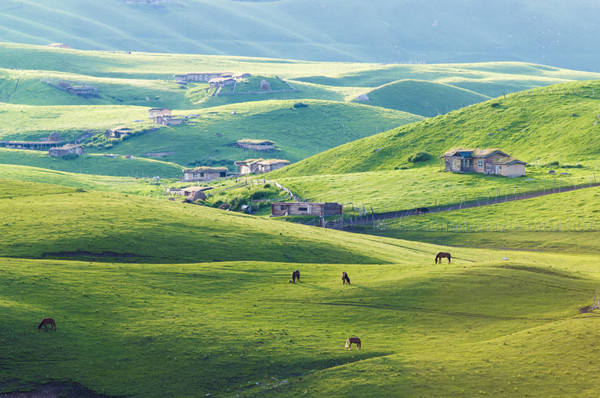摄图网_500876862_banner_新疆天山牧场（企业商用）.jpg