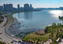 合肥和平路安纺总厂青皮树酒店，与您相遇秀美庐州