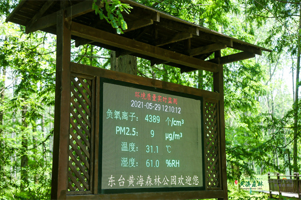 康養旅遊新選擇 黃海森林公園引入歡墅高端民宿配套