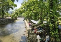 【乡村振兴】于白鹭天堂书农旅佳话