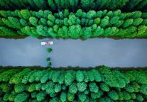 君澜2023年预开业酒店品鉴，谁才是你最期待的明星酒店？