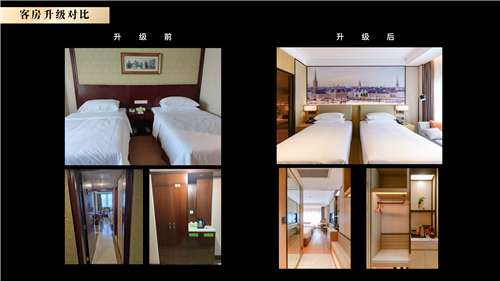 迈点素材_22.png