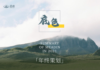 “底色” 2021迈点年终策划
