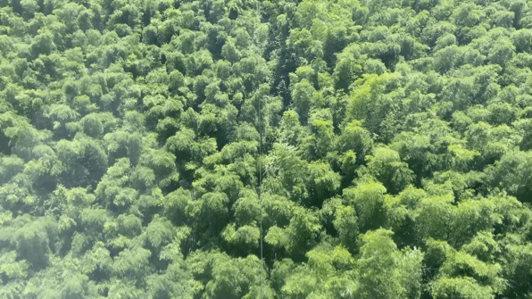 微信图片_20230417142822.gif
