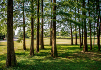 合肥市五里墩地铁站颐和大厦青皮树酒店，带您领略江淮首郡风采