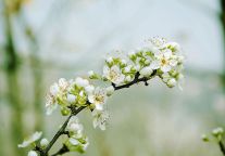 格盟酒店，邀您相逢在人间瑶台