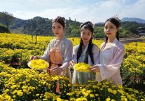 明月山景区活动门票免费送！