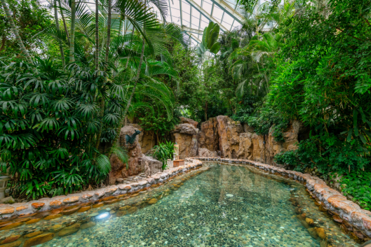 中旅酒店即将再次火热开播 - 副本784.png