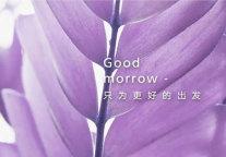 中端酒店9年风雨路 麗“9”弥新