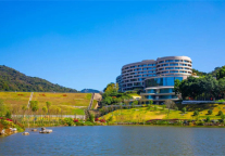 绽放正当时！广州黄埔君澜虎年开门红