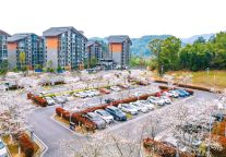 明月山的樱花开了，这份春日浪漫你一定要拥有！