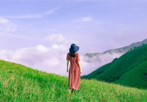 大数据 请把这篇推给所有期待绿色武功山景区的人！