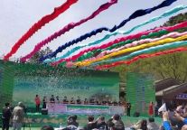 鞍山梨花节C位登场 惊艳辽宁春季文旅大片“首映式”