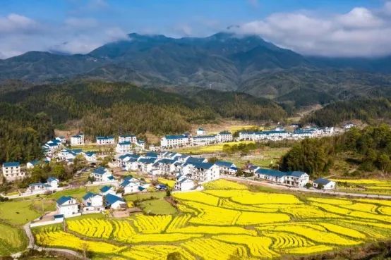 1654067296351056.jpg 图片