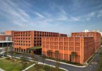 同比增长13倍，武大周边酒店预订量飙升