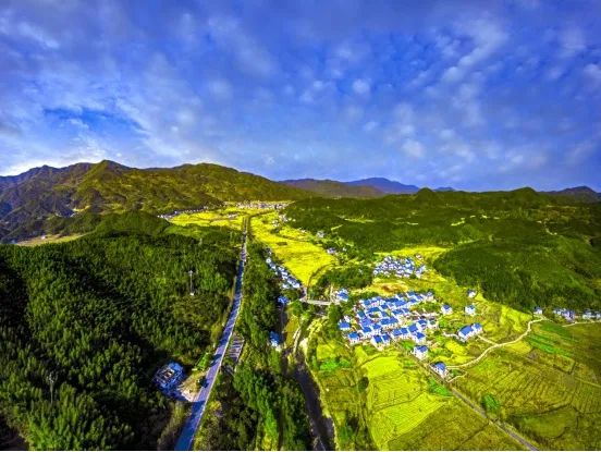 1654067242614553.jpg 图片