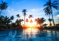 “托娃套餐”风潮新起，酒店的“创新营销”应该怎么玩？