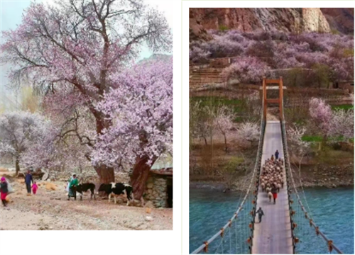微信截图_20220318140520.png