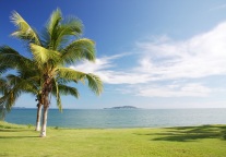 复星旅文一季度营业额41.98亿，同比增加306.6%