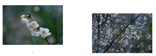 图片90.png
