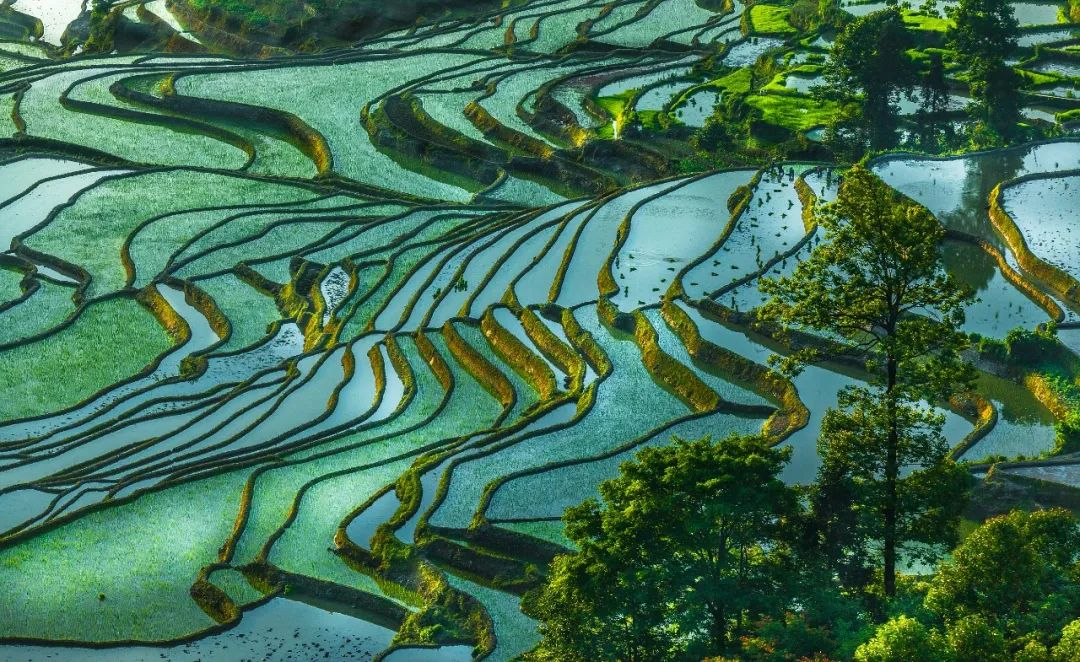 同比上升119%！旅悦集团第一季度开门红，各品牌全维度数据增长