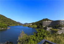 轻松解锁流量密码，来这里就够了！