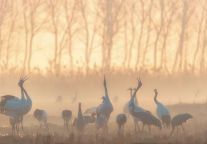 格林豪泰酒店，跟您分享射阳小城丽景