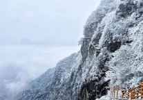 今日大雪，明月山玉树琼花，雾凇缀满枝！